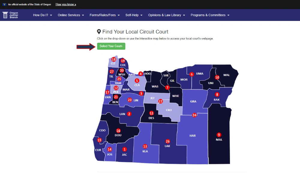 A color-coded interactive map showing the divisions of circuit courts across a state, with each county labeled and numbered for easy reference to facilitate access to local court webpages.